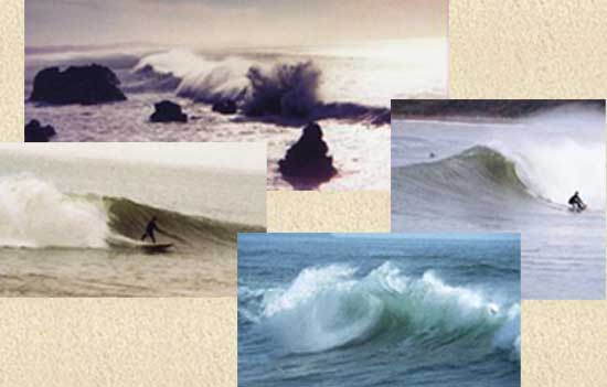SONOMA COAST